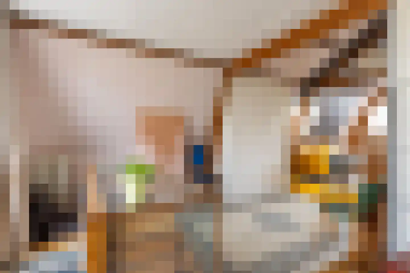Rodenrijselaan 5 B Rotterdam thumbnail 43