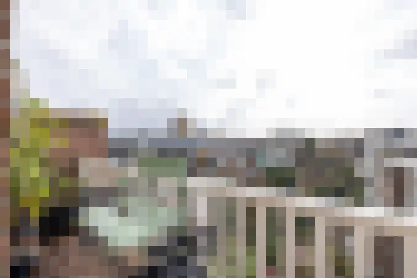 Rodenrijselaan 5 B Rotterdam thumbnail 49