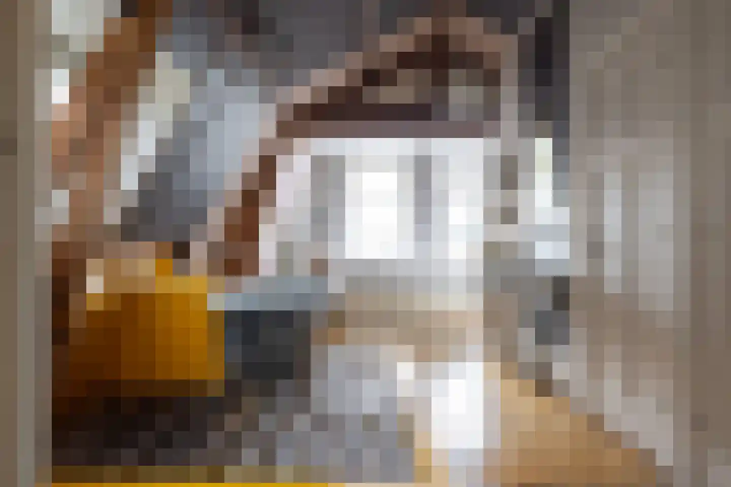 Rodenrijselaan 5 B Rotterdam thumbnail 5
