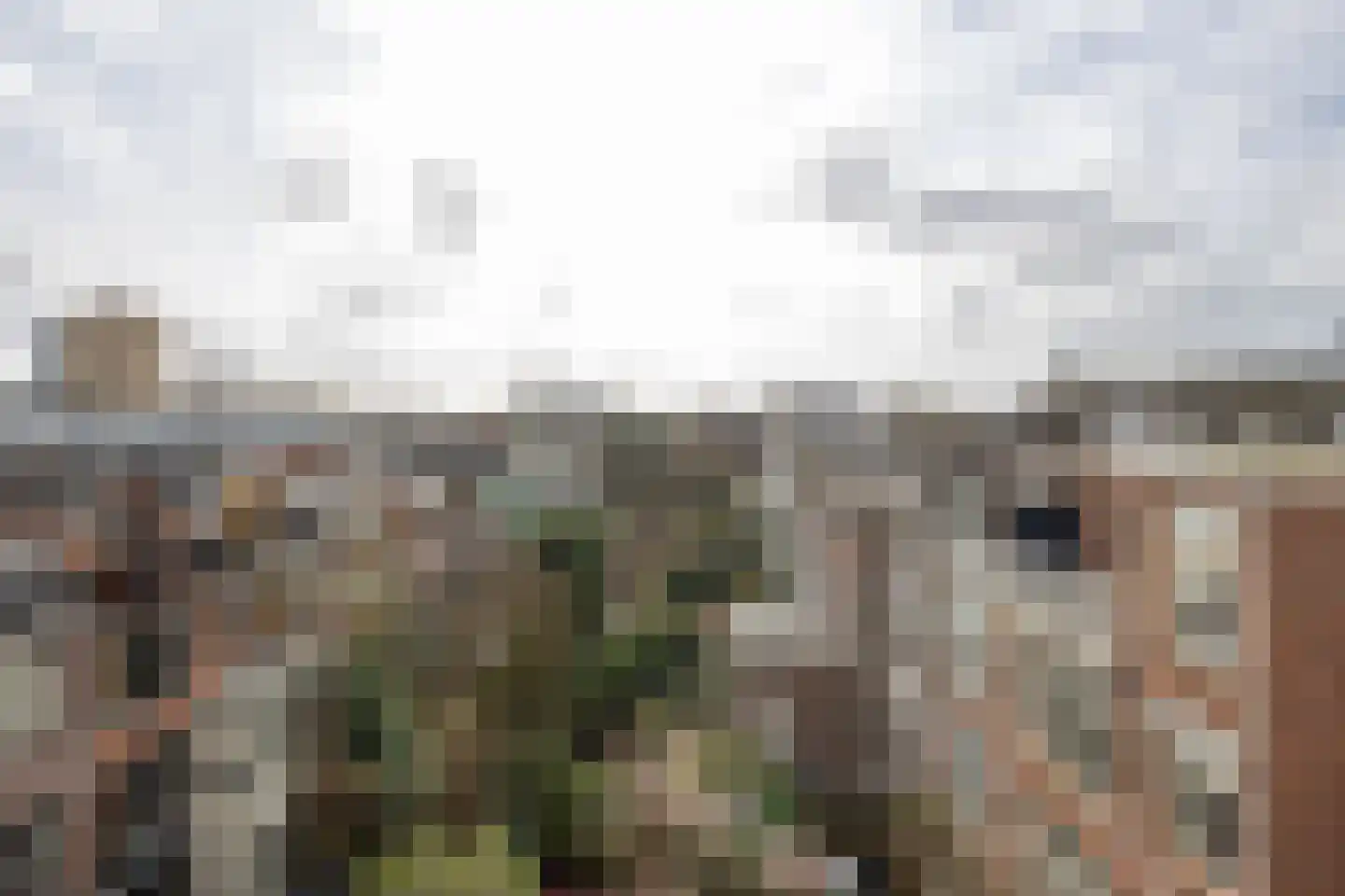 Rodenrijselaan 5 B Rotterdam thumbnail 50