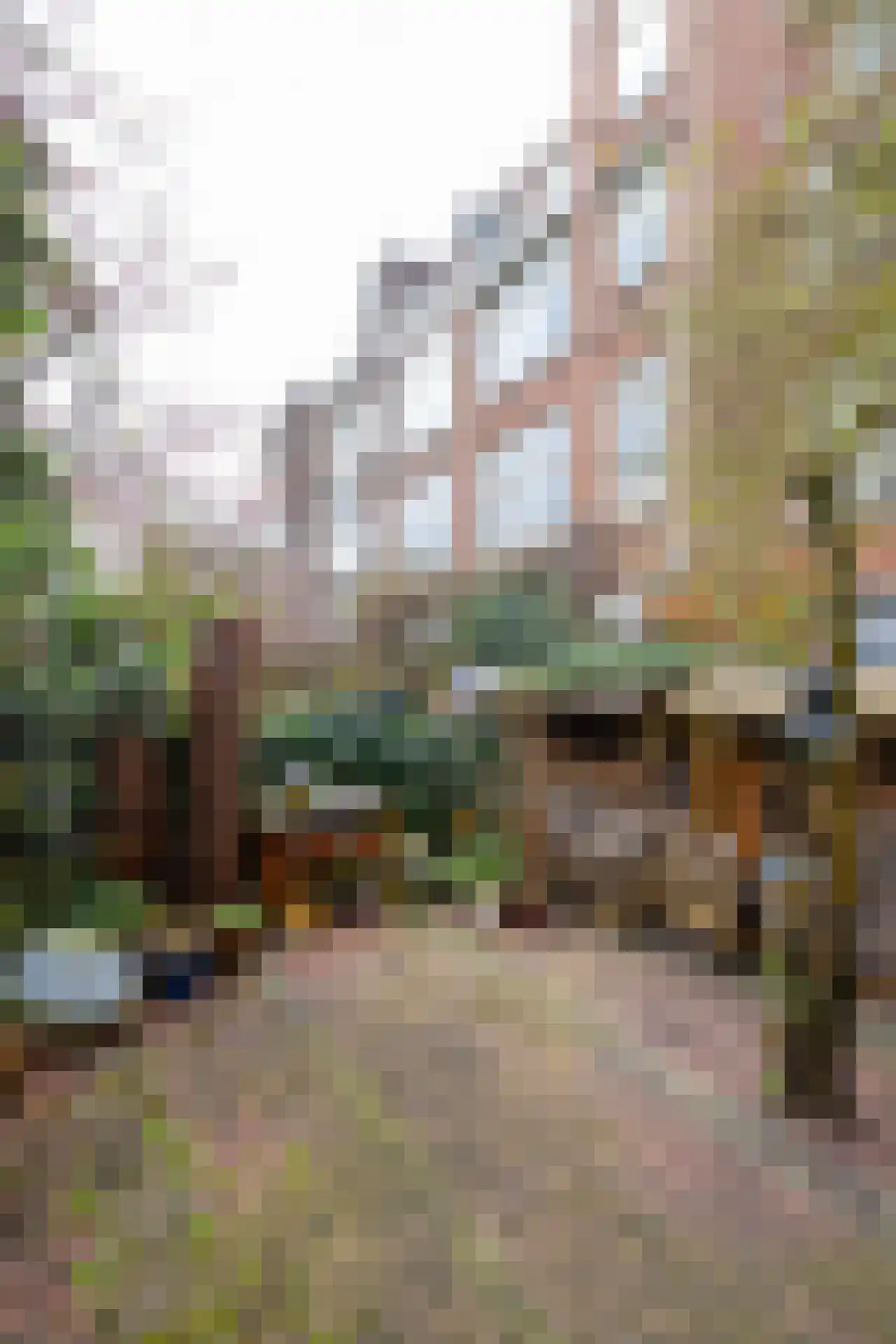Rodenrijselaan 5 B Rotterdam thumbnail 52