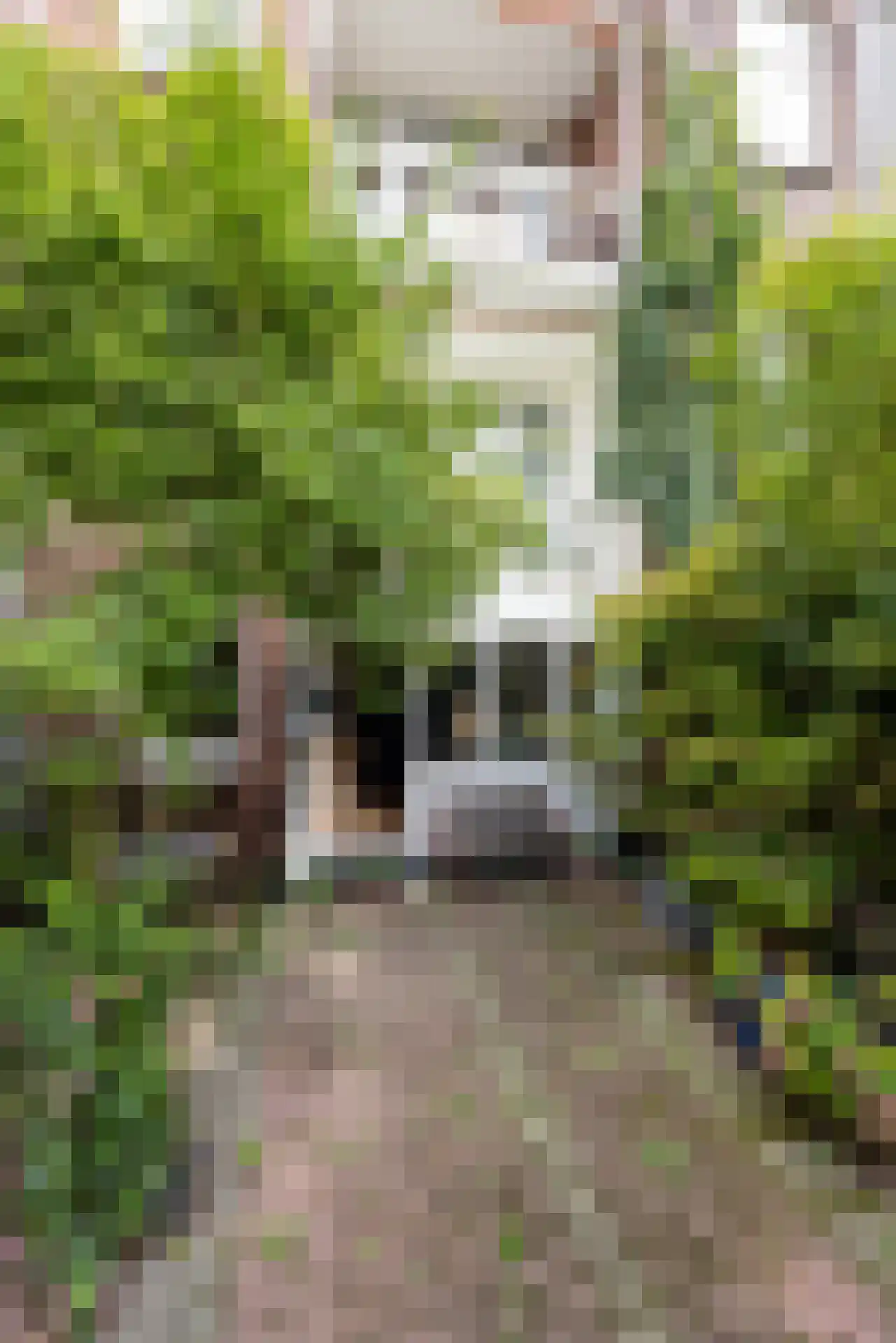 Rodenrijselaan 5 B Rotterdam thumbnail 53
