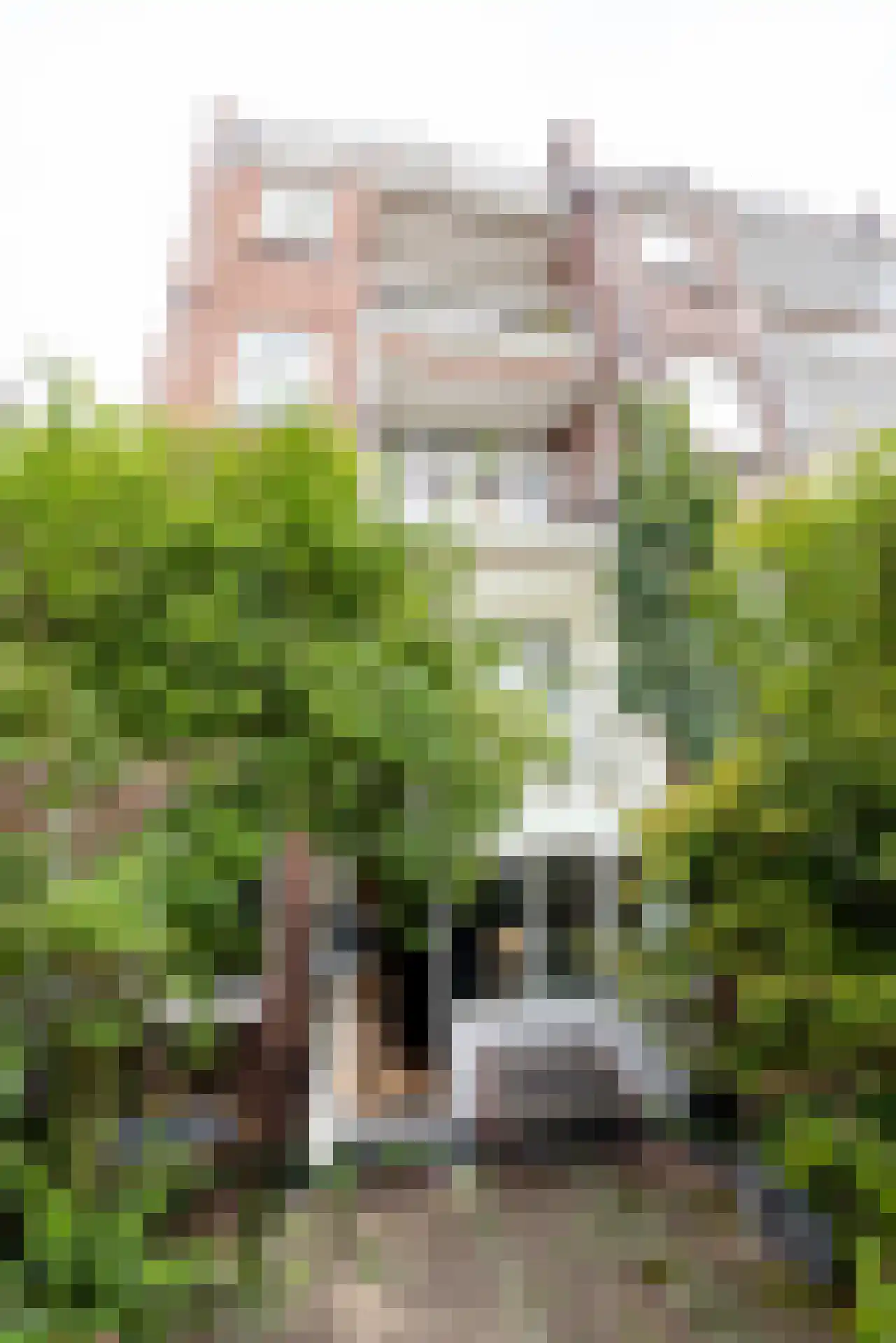 Rodenrijselaan 5 B Rotterdam thumbnail 54