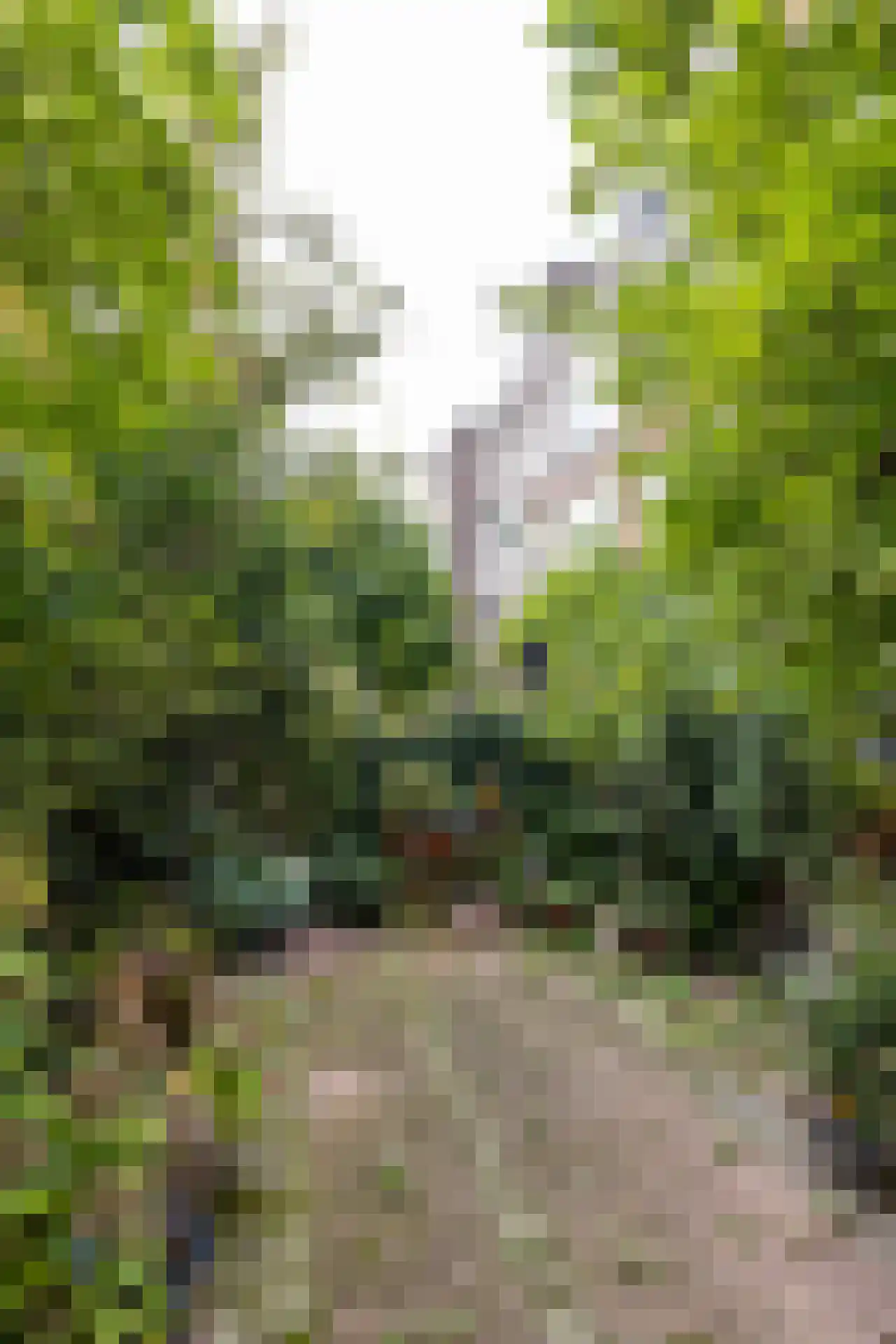 Rodenrijselaan 5 B Rotterdam thumbnail 55