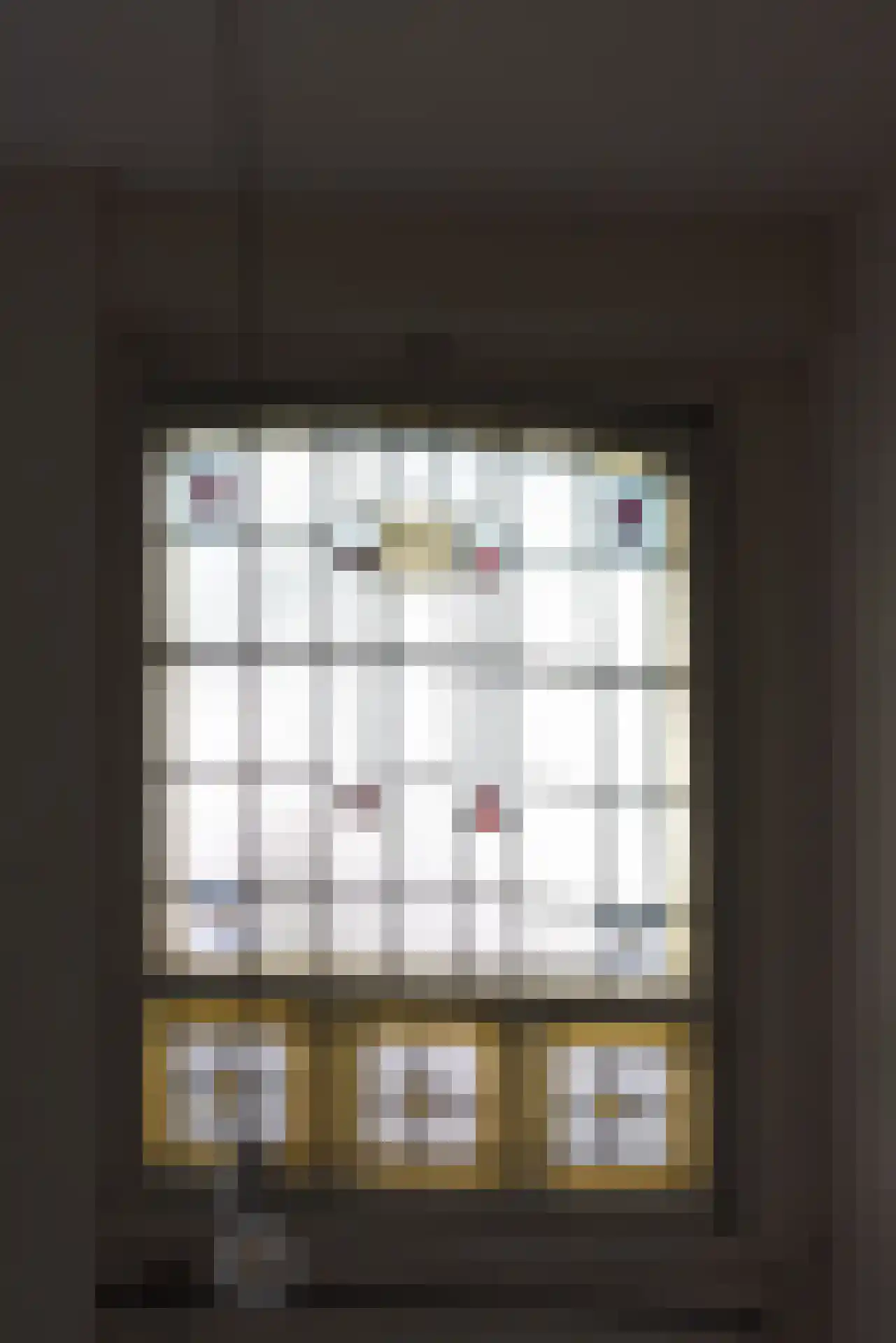 Rodenrijselaan 5 B Rotterdam thumbnail 55
