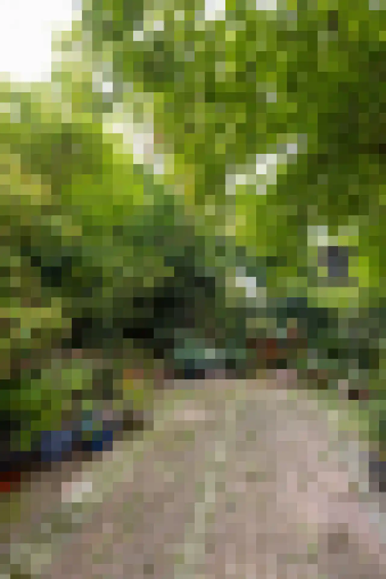 Rodenrijselaan 5 B Rotterdam thumbnail 56