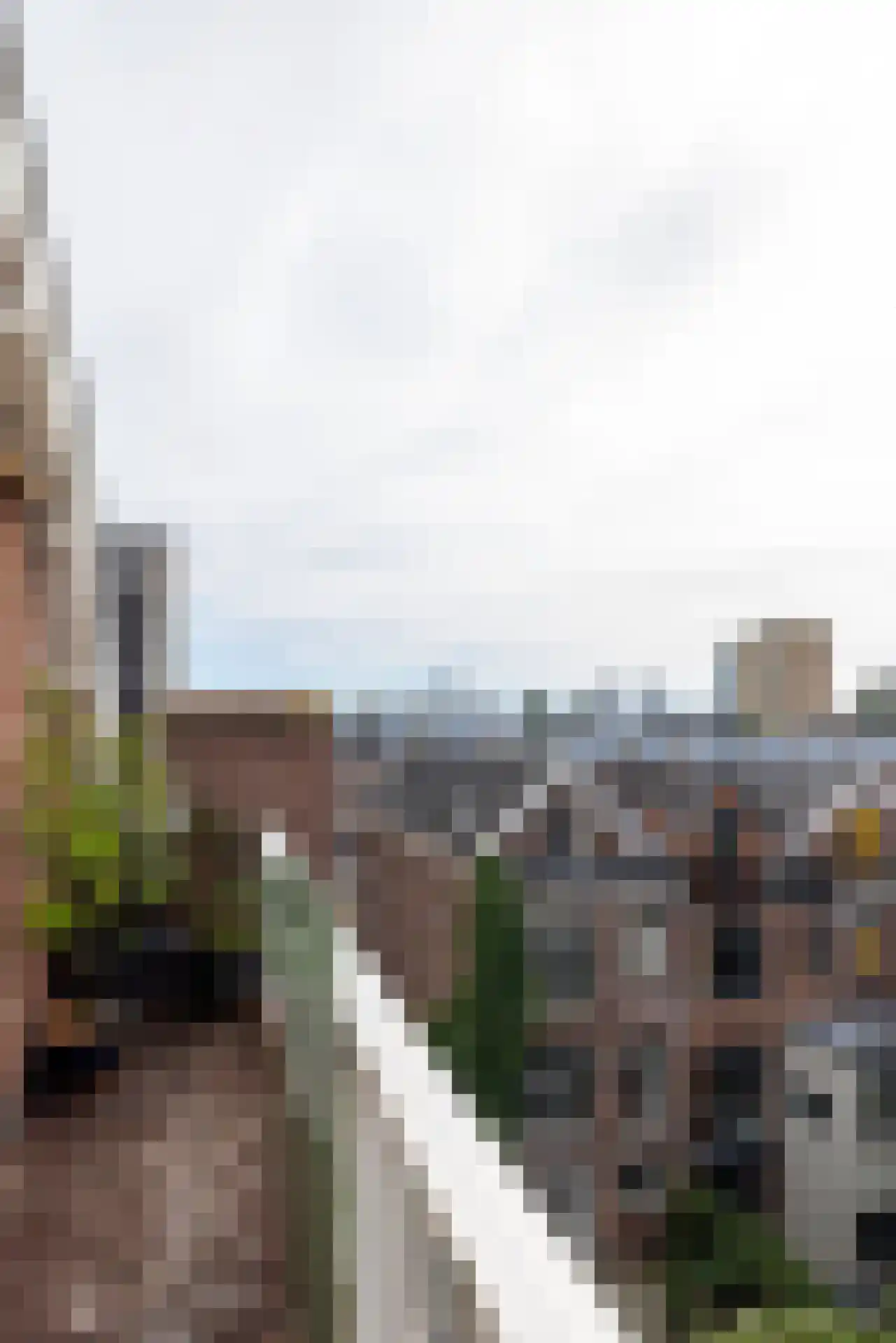 Rodenrijselaan 5 B Rotterdam thumbnail 57