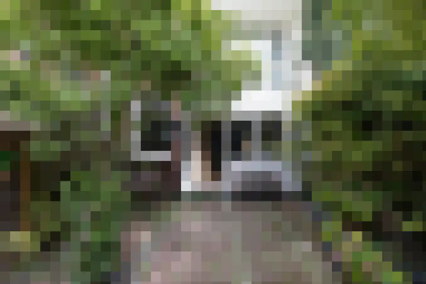 Rodenrijselaan 5 B Rotterdam thumbnail 6