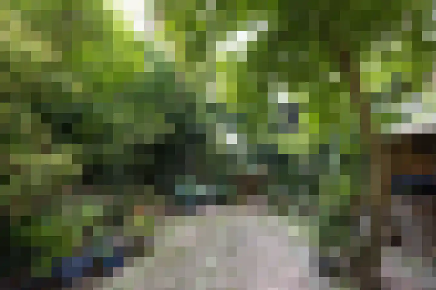 Rodenrijselaan 5 B Rotterdam thumbnail 60