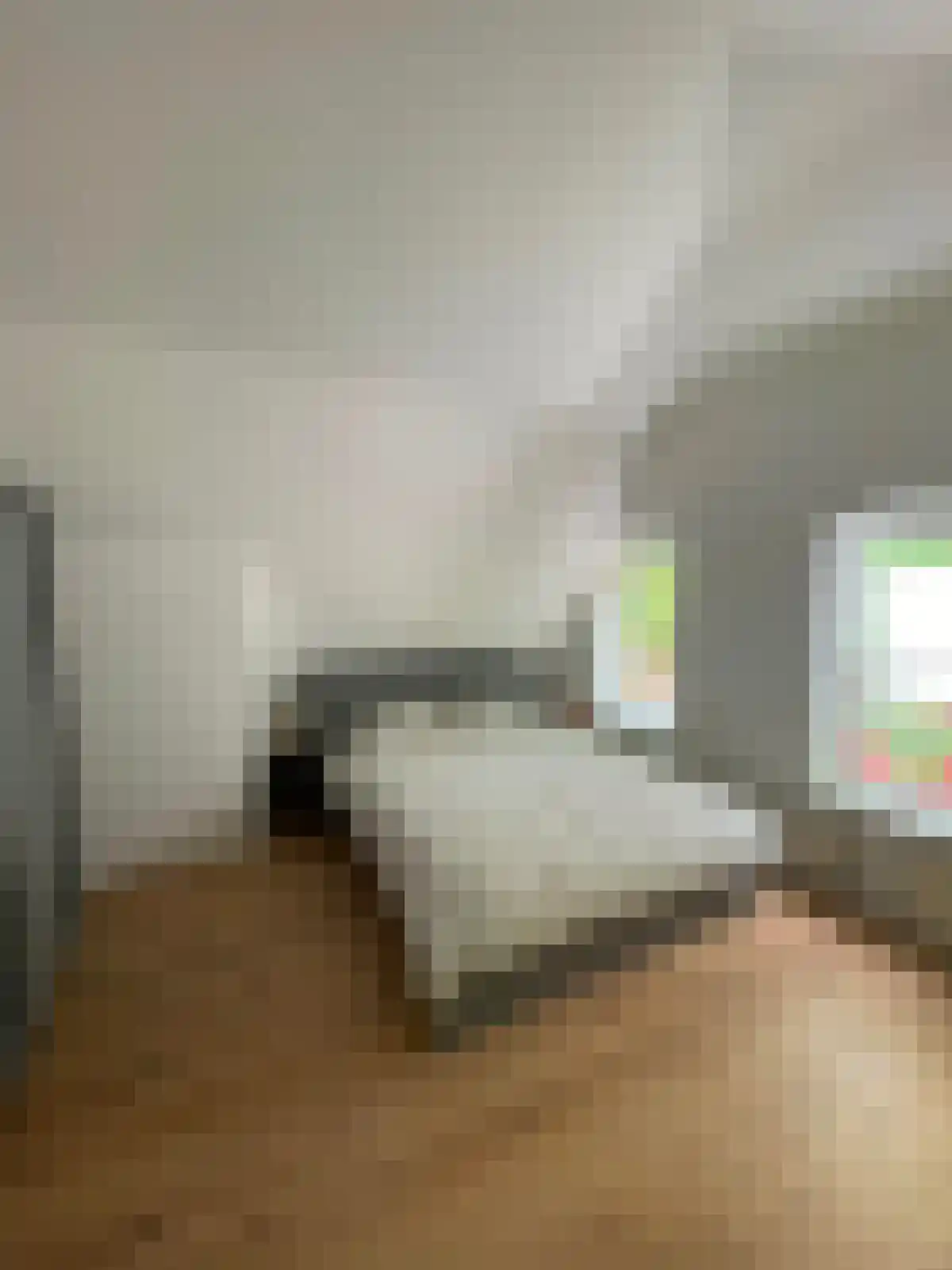 Rodenrijselaan 58 Rotterdam thumbnail 4