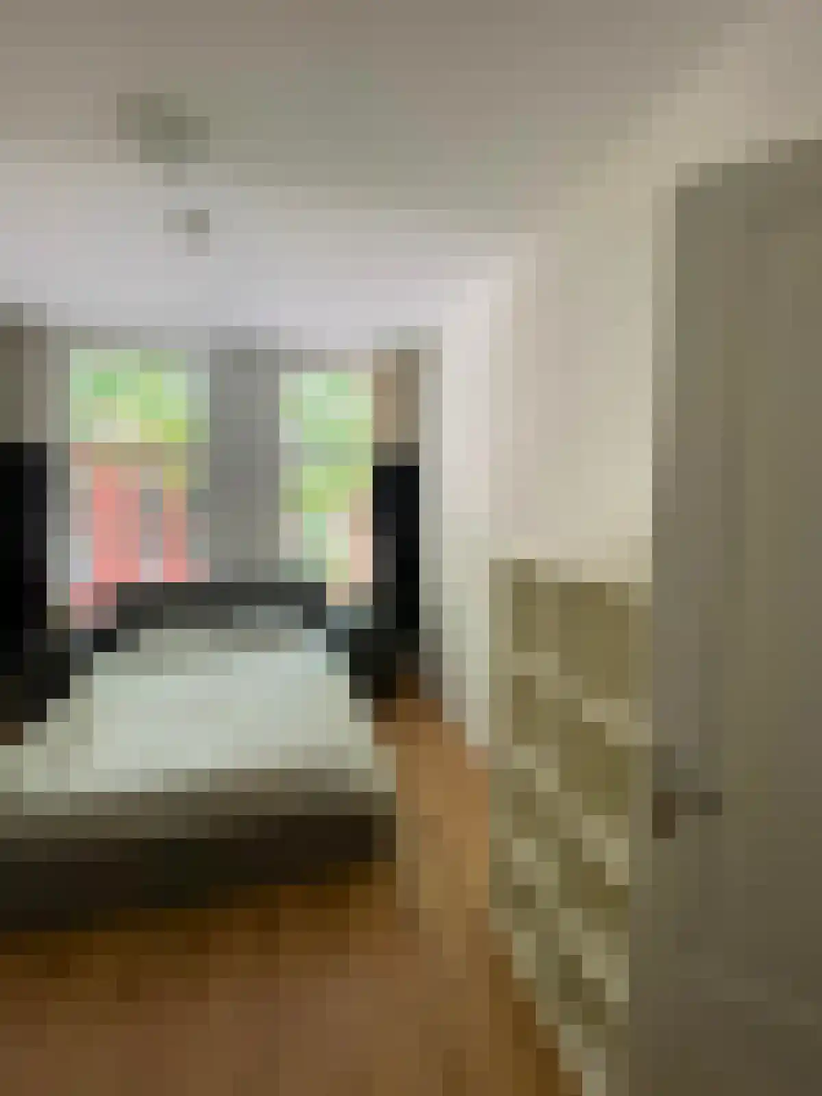 Rodenrijselaan 58 Rotterdam thumbnail 5
