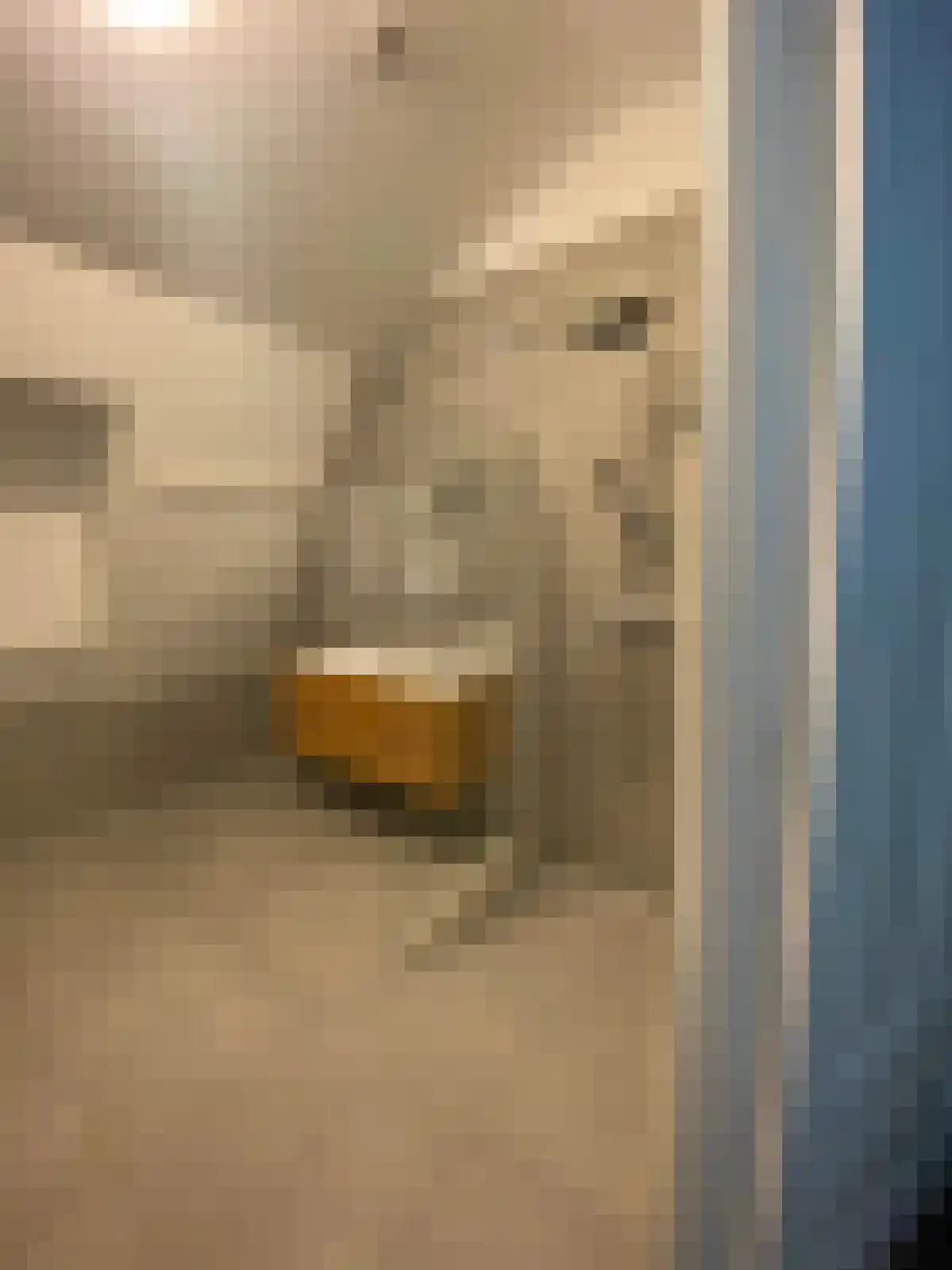 Rodenrijselaan 58 Rotterdam thumbnail 7