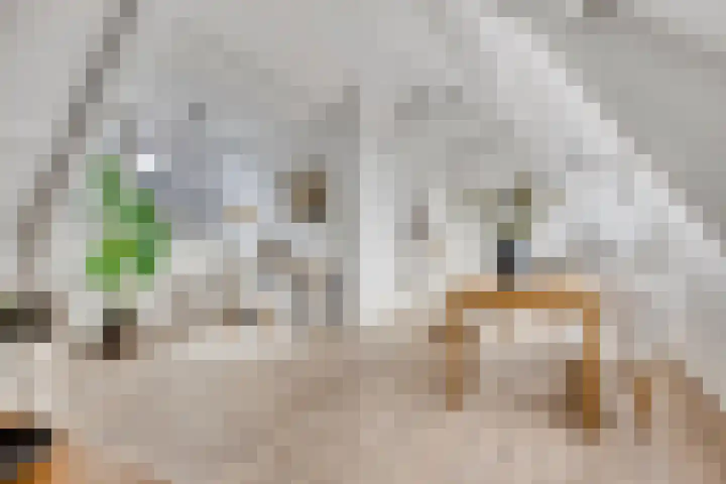 Rodenrijselaan 64 A 03 Rotterdam thumbnail 4