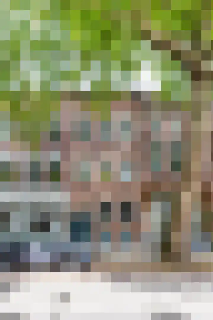 Rodenrijselaan 64 A 03 Rotterdam thumbnail 6
