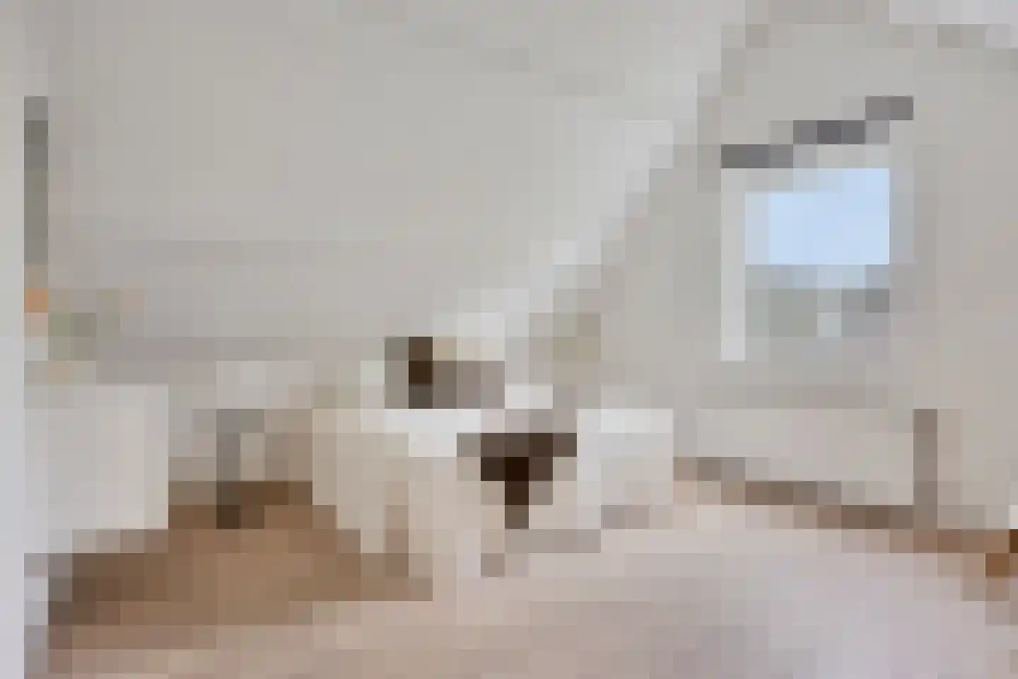 Rodenrijselaan 64 A 03 Rotterdam thumbnail 7