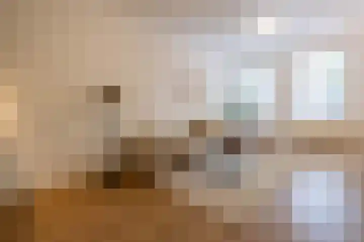 Rodenrijselaan 64 A 03 Rotterdam thumbnail 8