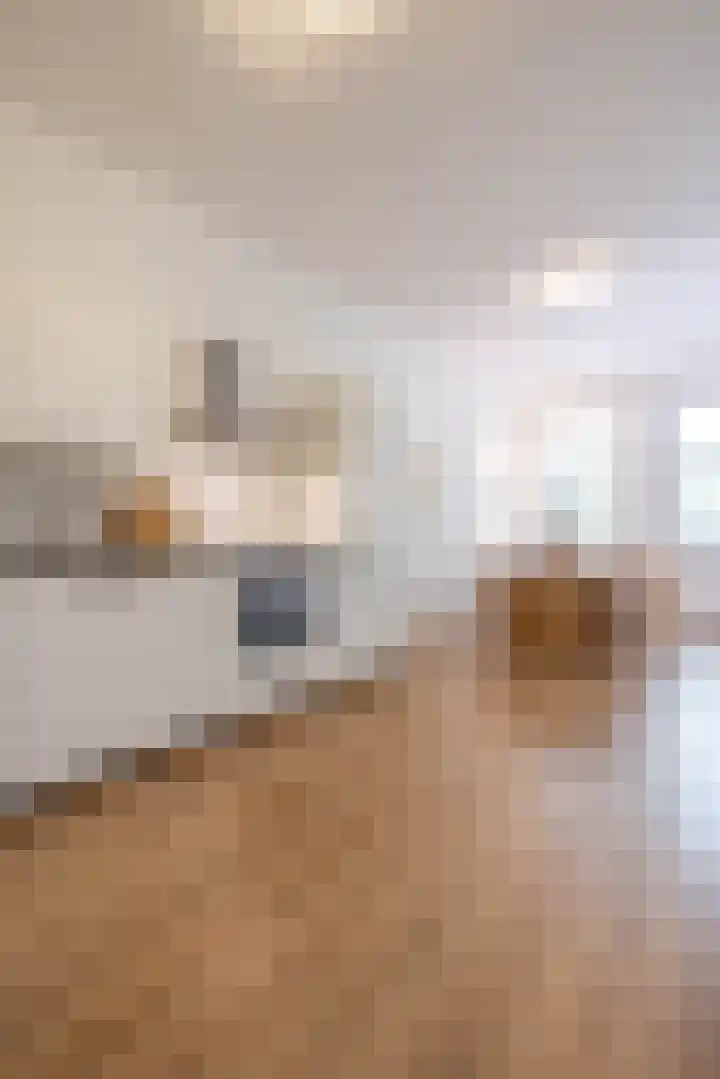 Rodenrijselaan 64 A 03 Rotterdam thumbnail 8