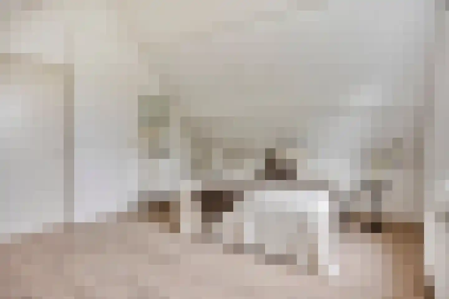 Rodenrijselaan 64 A 03 Rotterdam thumbnail 8