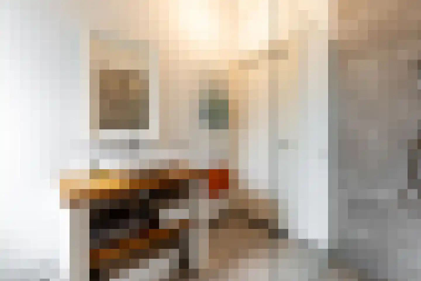 Rodenrijselaan 7 A 01 Rotterdam thumbnail 36