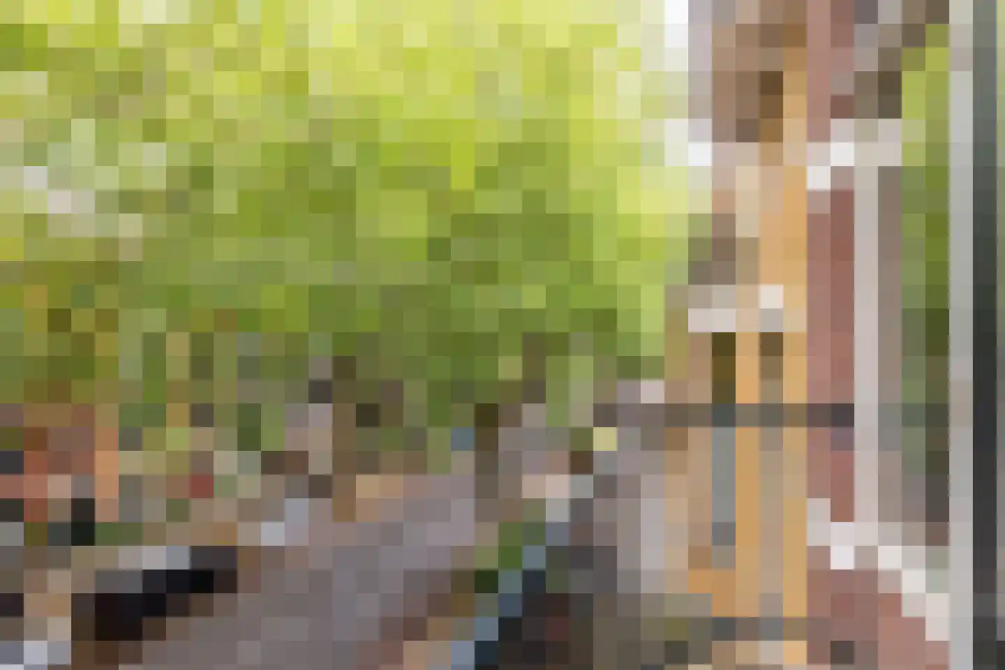 Rodenrijselaan 7 A 02 Rotterdam thumbnail 10