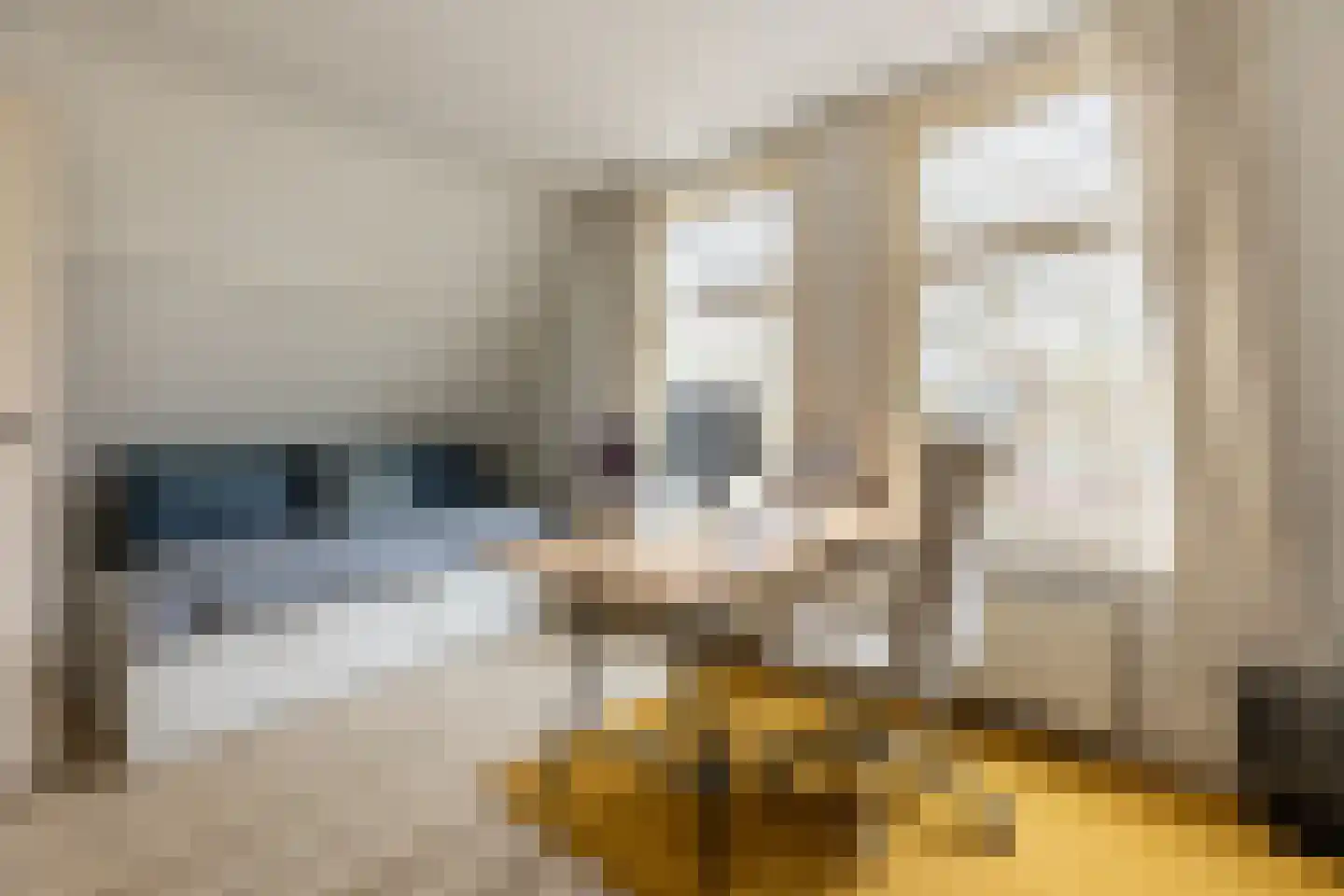 Rodenrijselaan 7 A 02 Rotterdam thumbnail 34