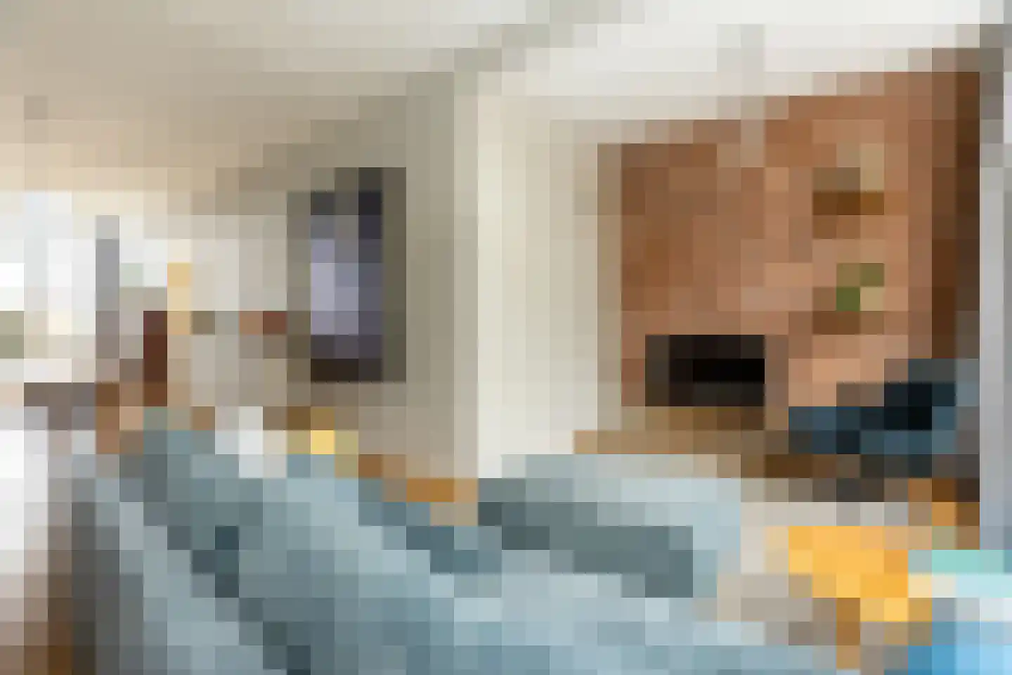 Rodenrijselaan 7 A 02 Rotterdam thumbnail 5