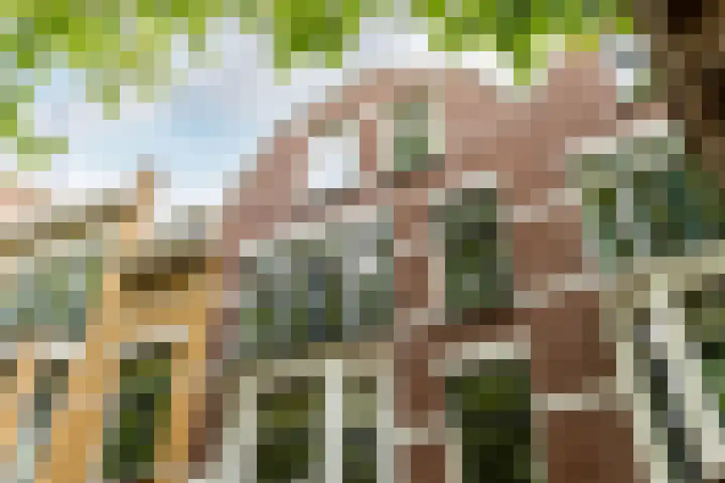 Rodenrijselaan 7 B Rotterdam