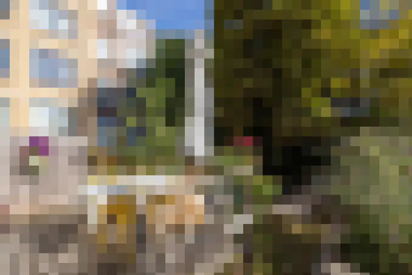 Rodenrijselaan 8 A Rotterdam thumbnail 29