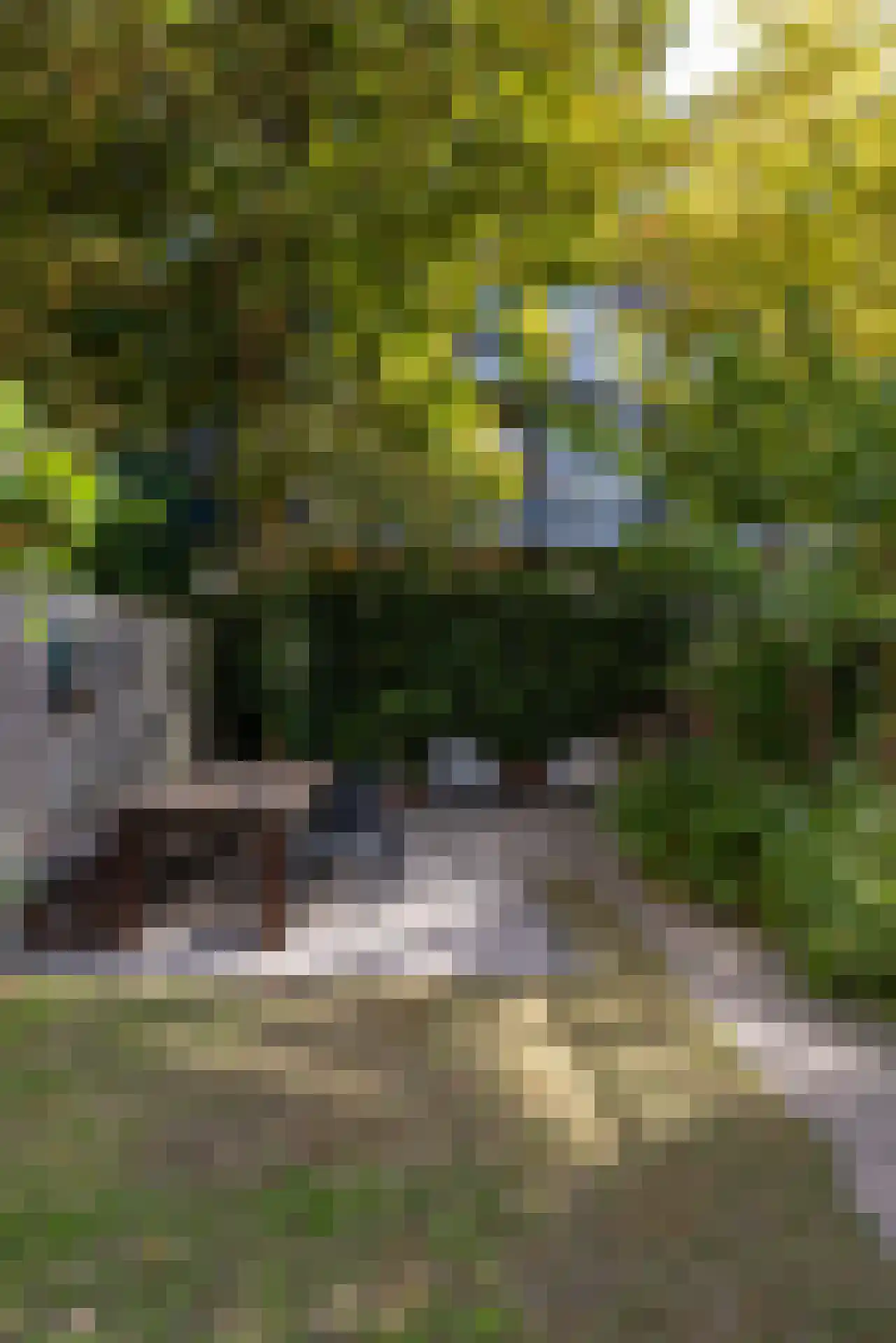 Rodenrijselaan 8 A Rotterdam thumbnail 31