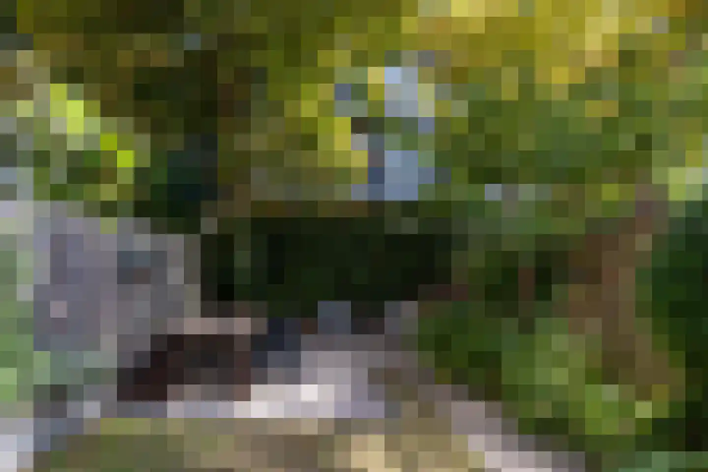Rodenrijselaan 8 A Rotterdam thumbnail 32