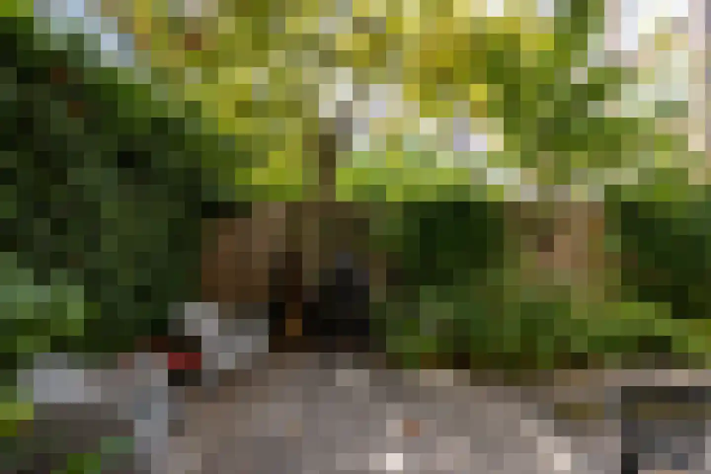 Rodenrijselaan 8 A Rotterdam thumbnail 33