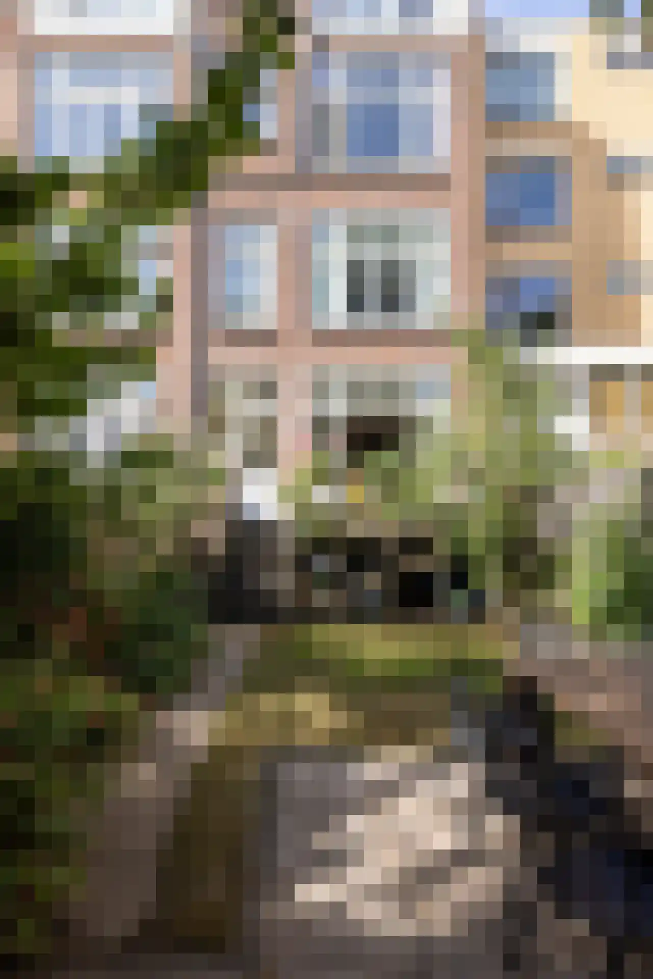 Rodenrijselaan 8 A Rotterdam thumbnail 35