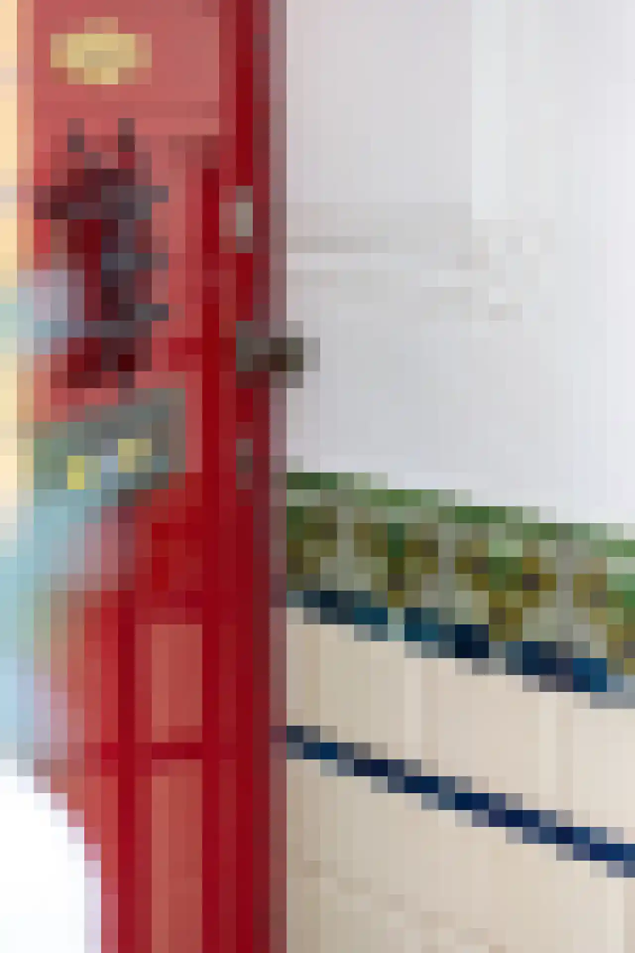 Rodenrijselaan 8 A Rotterdam thumbnail 38
