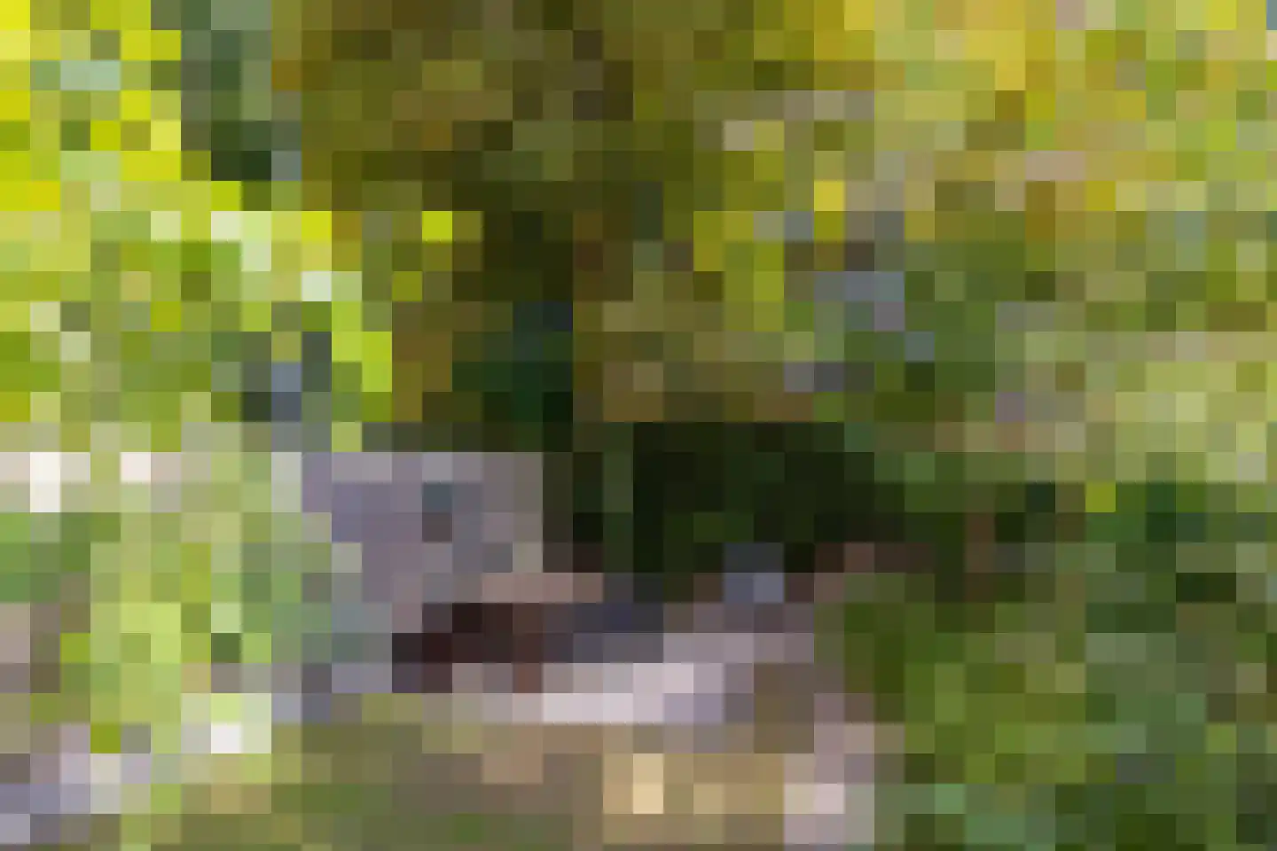 Rodenrijselaan 8 A Rotterdam thumbnail 4