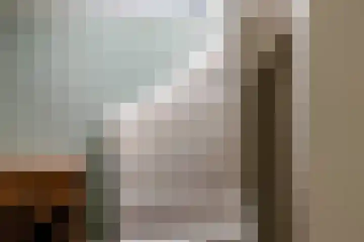 Rodenrijselaan 9 A 02 Rotterdam thumbnail 15