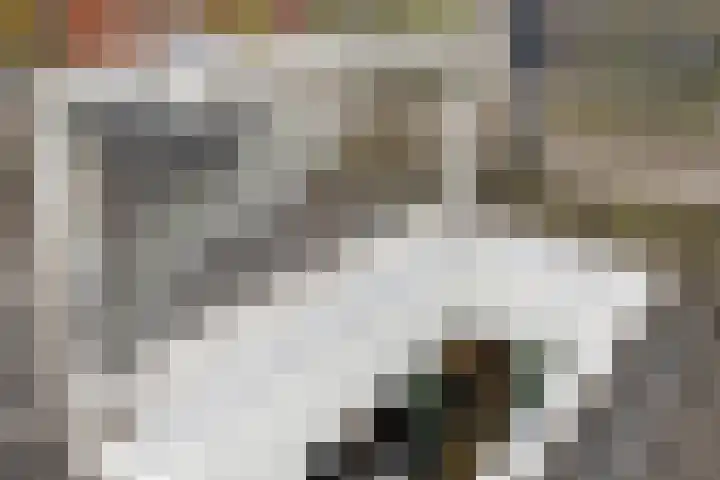 Rodenrijselaan 9 A 02 Rotterdam thumbnail 16