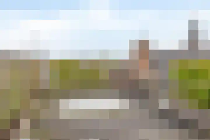 Rodenrijselaan 9 A 02 Rotterdam thumbnail 17
