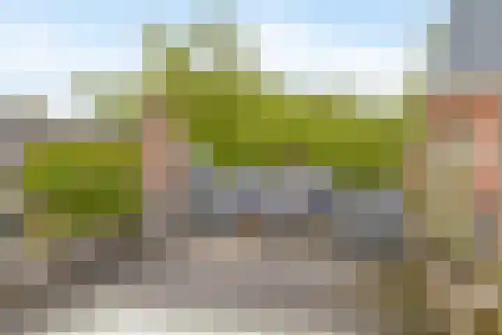 Rodenrijselaan 9 A 02 Rotterdam thumbnail 19