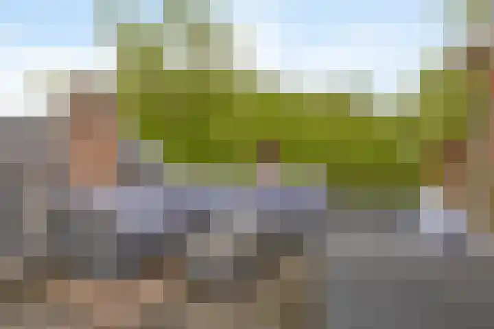 Rodenrijselaan 9 A 02 Rotterdam thumbnail 21