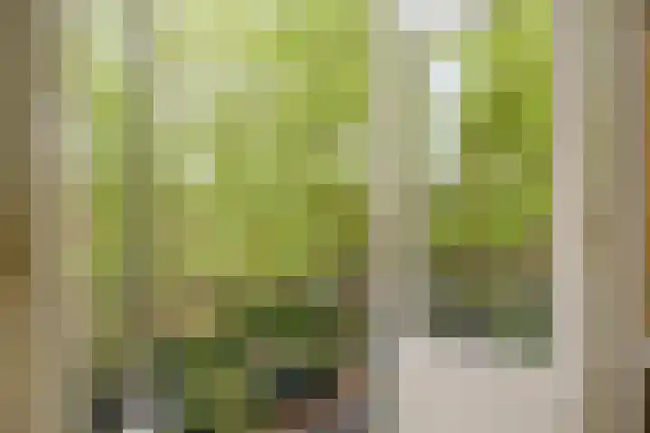 Rodenrijselaan 9 A 02 Rotterdam thumbnail 24
