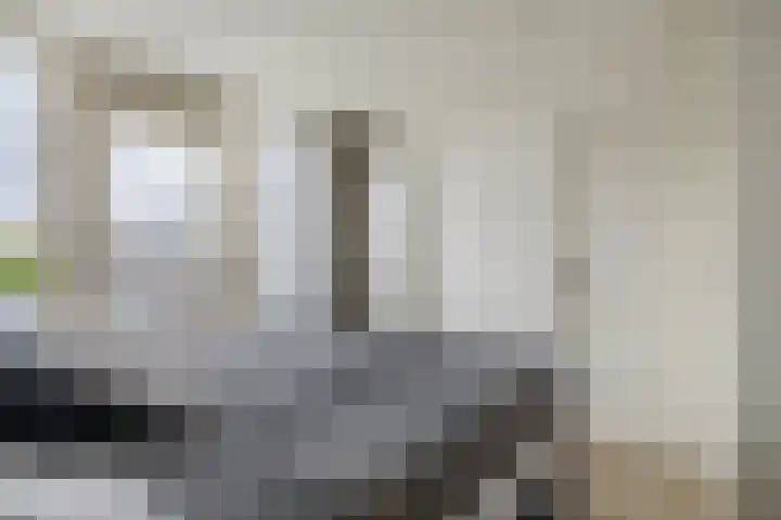 Rodenrijselaan 9 A 02 Rotterdam thumbnail 32