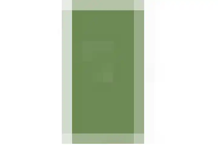 Rodenrijselaan 9 A 02 Rotterdam thumbnail 43