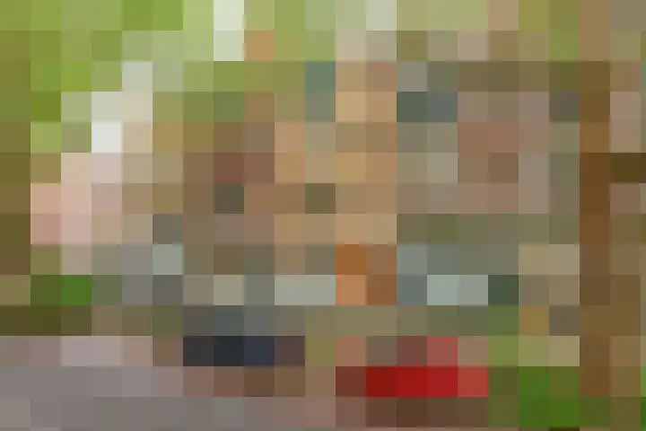 Rodenrijselaan 9 A 02 Rotterdam thumbnail 7