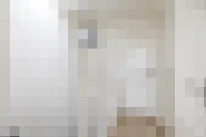 Rodenrijselaan 9 A 02 Rotterdam thumbnail 9