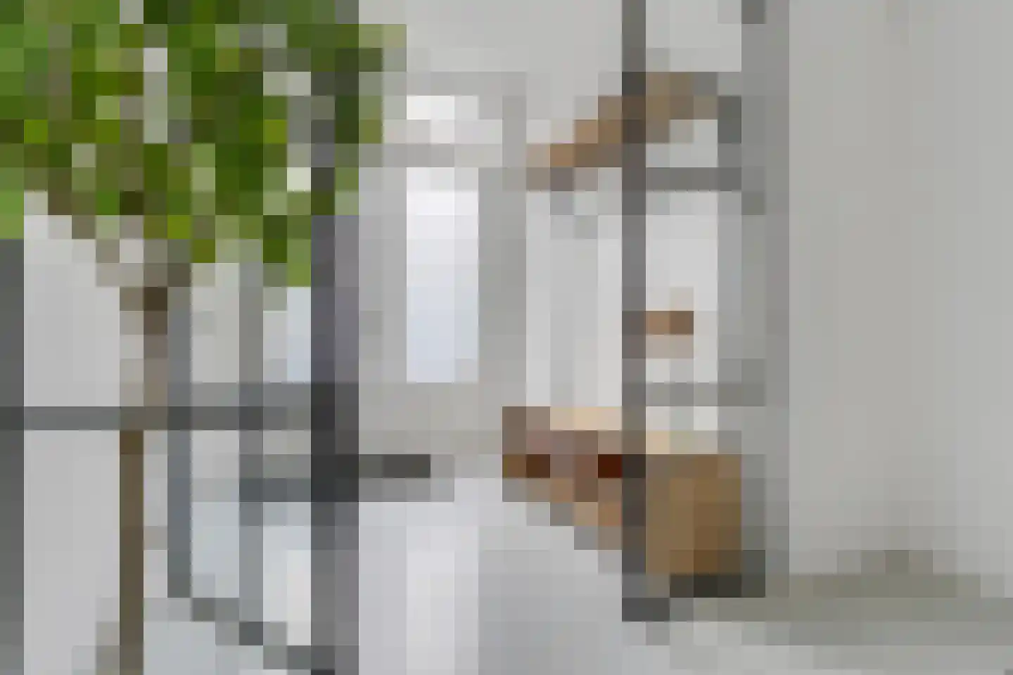 Rodenrijsestraat 14 Rotterdam thumbnail 10