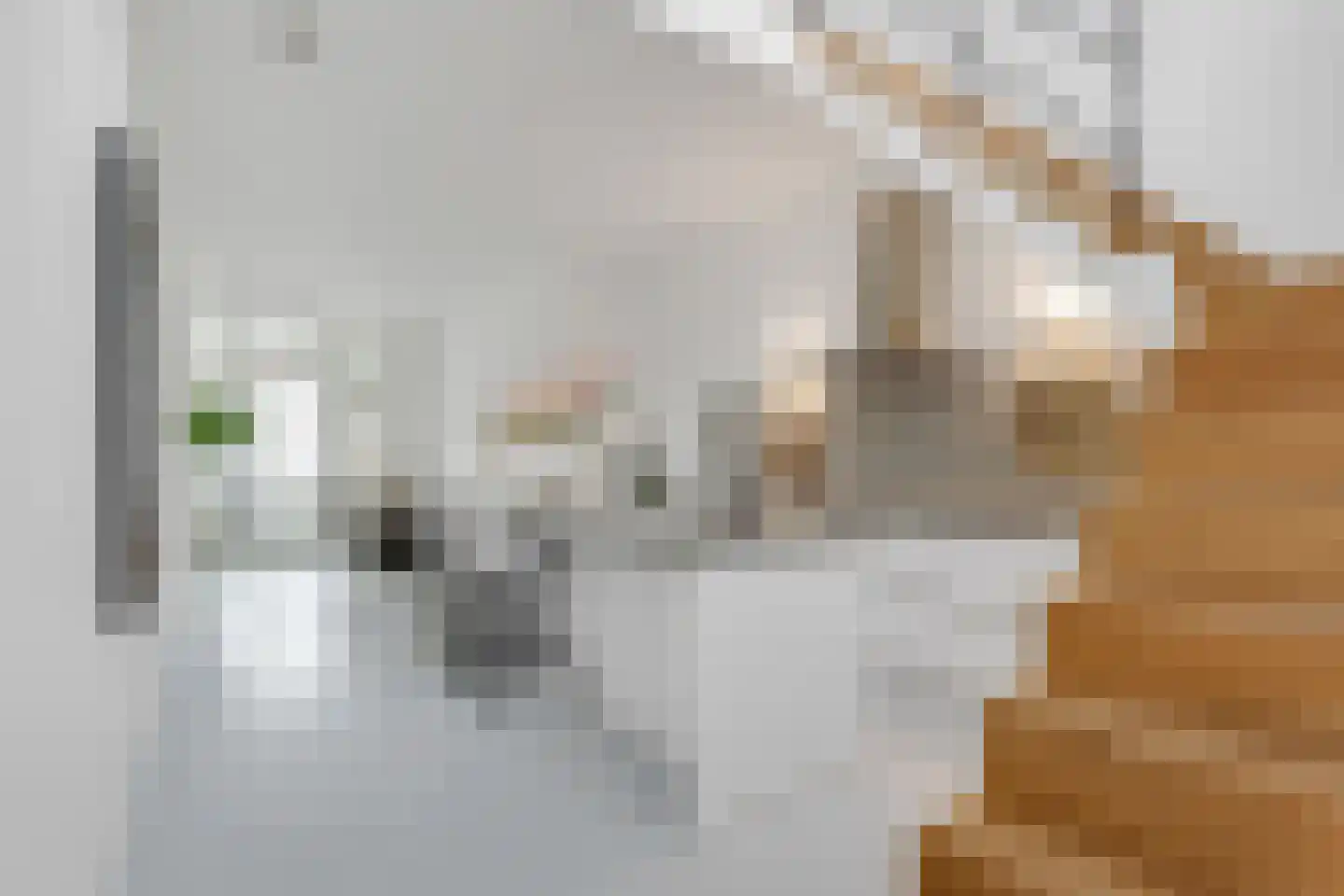 Rodenrijsestraat 14 Rotterdam thumbnail 4