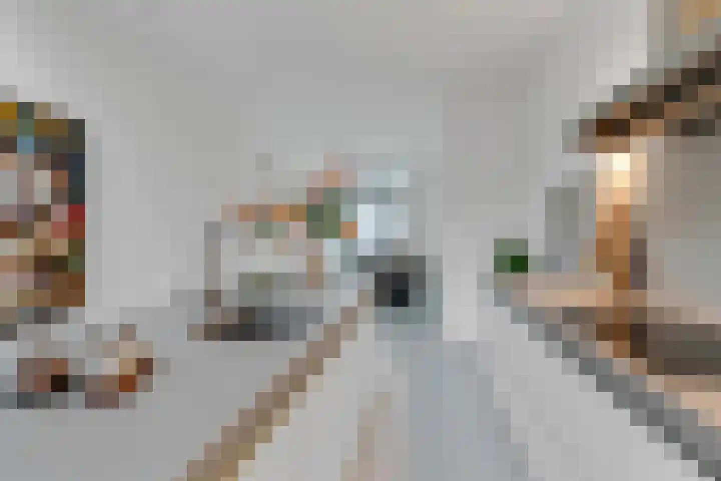 Rodenrijsestraat 14 Rotterdam thumbnail 7