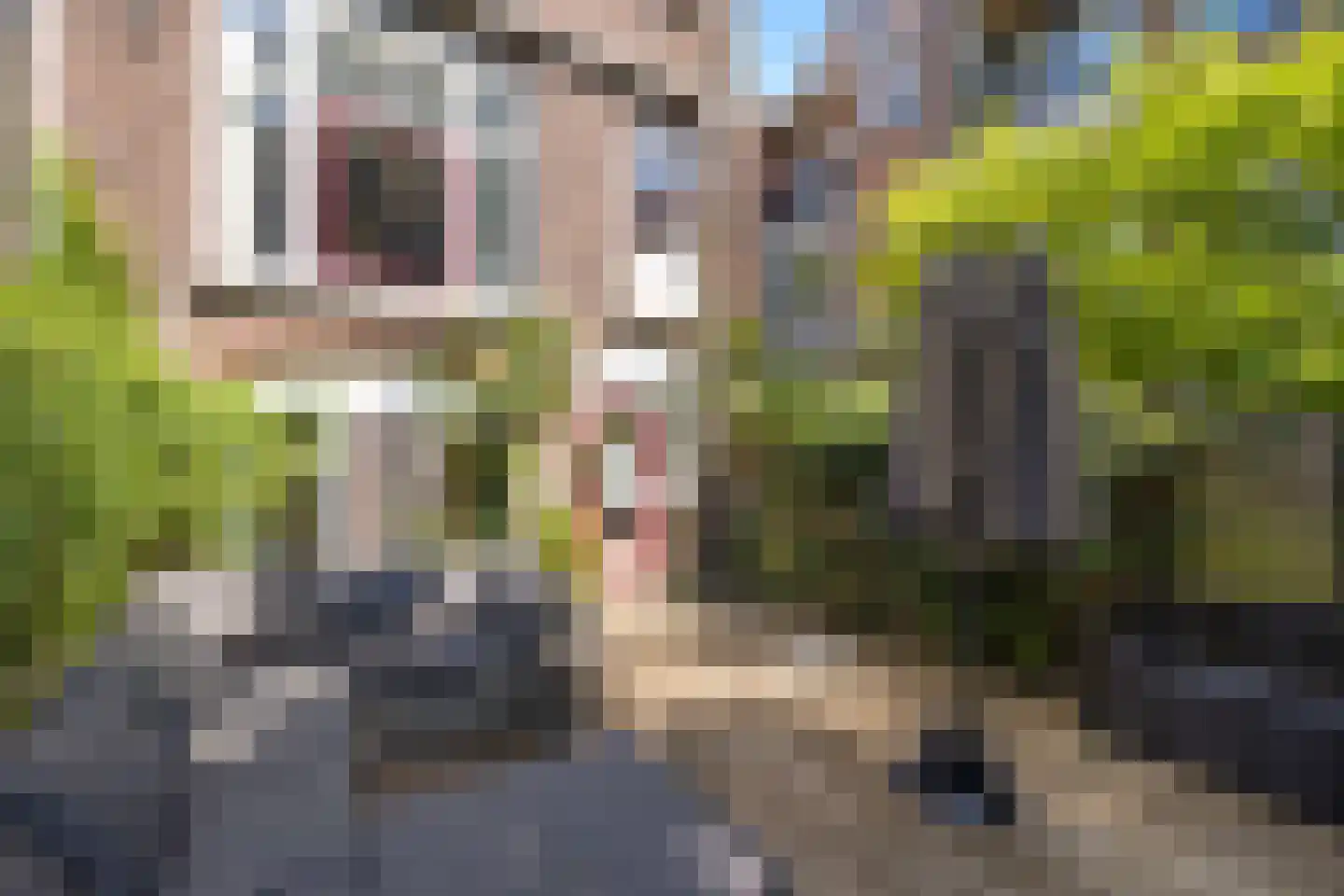 Rodenrijsestraat 37 A Rotterdam thumbnail 25