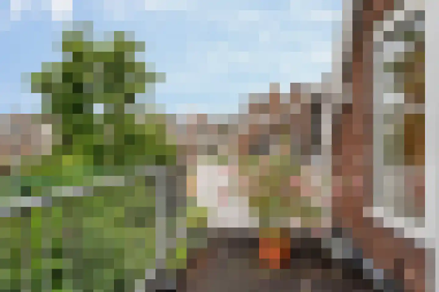 Rodenrijsestraat 65 Rotterdam thumbnail 28