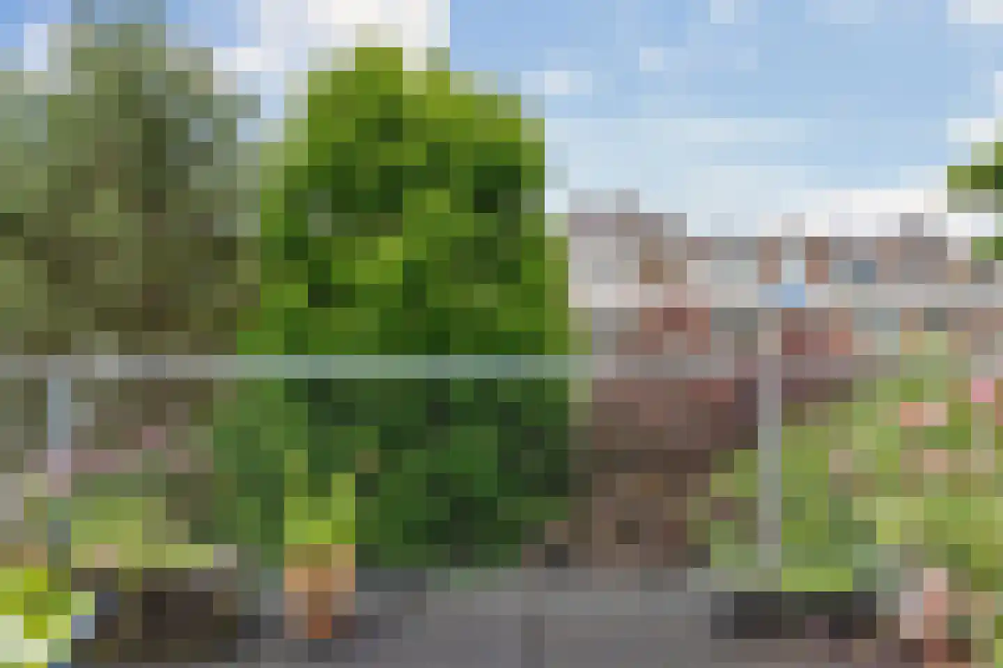 Rodenrijsestraat 65 Rotterdam thumbnail 31